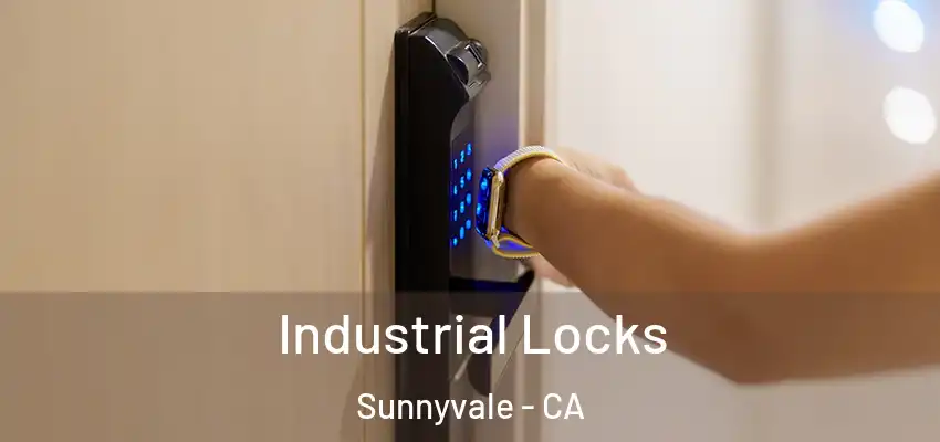  Industrial Locks Sunnyvale - CA